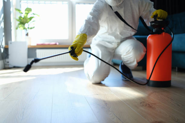 Reliable Odor Removal contractor in Clearlake, CA by Dulley Family Biohazard Services